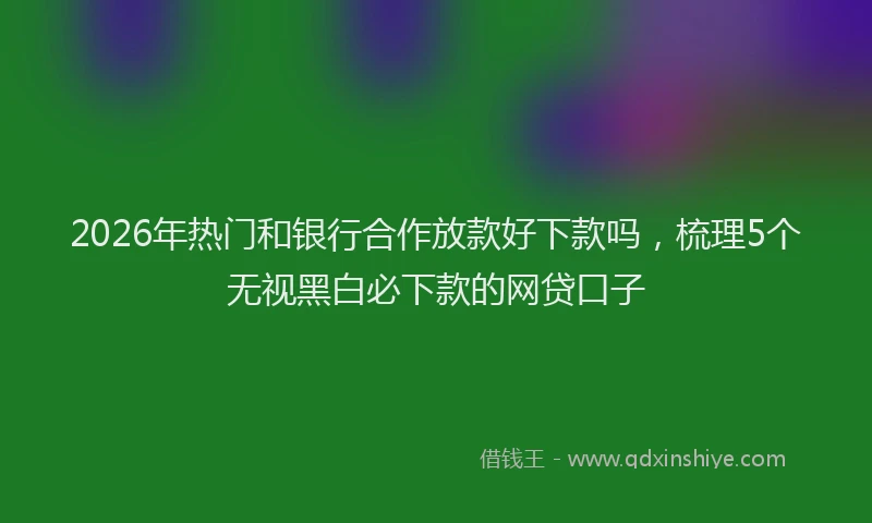 2026年热门和银行合作放款好下款吗，梳理5个无视黑白必下款的网贷口子