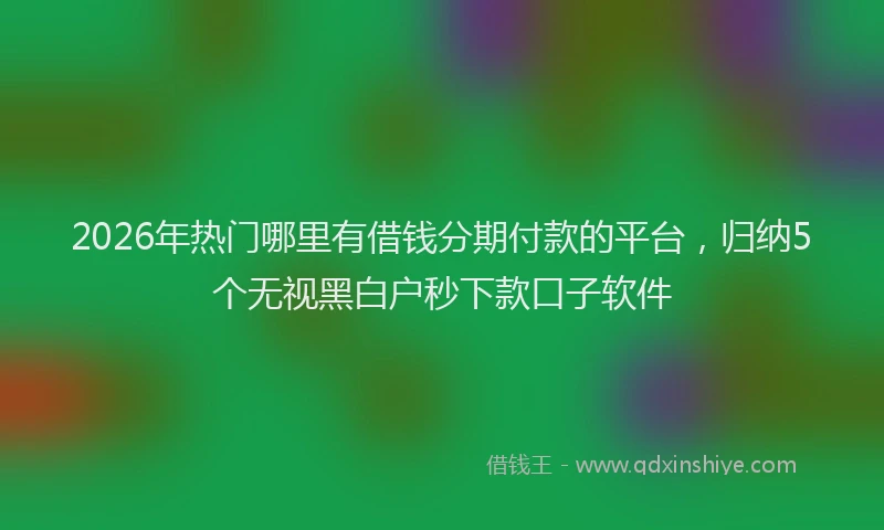 2026年热门哪里有借钱分期付款的平台，归纳5个无视黑白户秒下款口子软件