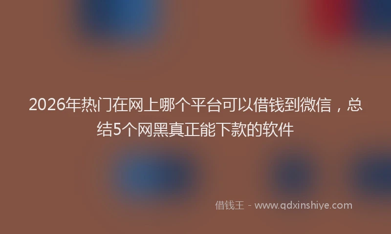 2026年热门在网上哪个平台可以借钱到微信，总结5个网黑真正能下款的软件