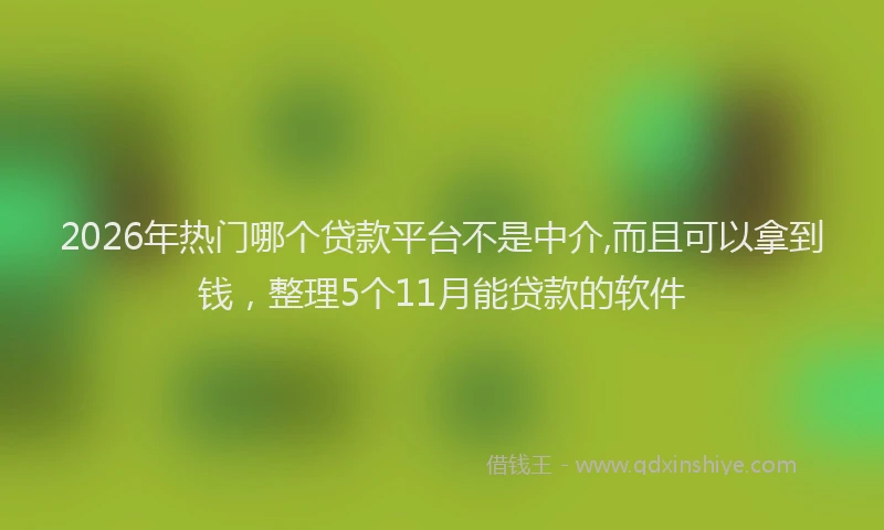 2026年热门哪个贷款平台不是中介,而且可以拿到钱，整理5个11月能贷款的软件