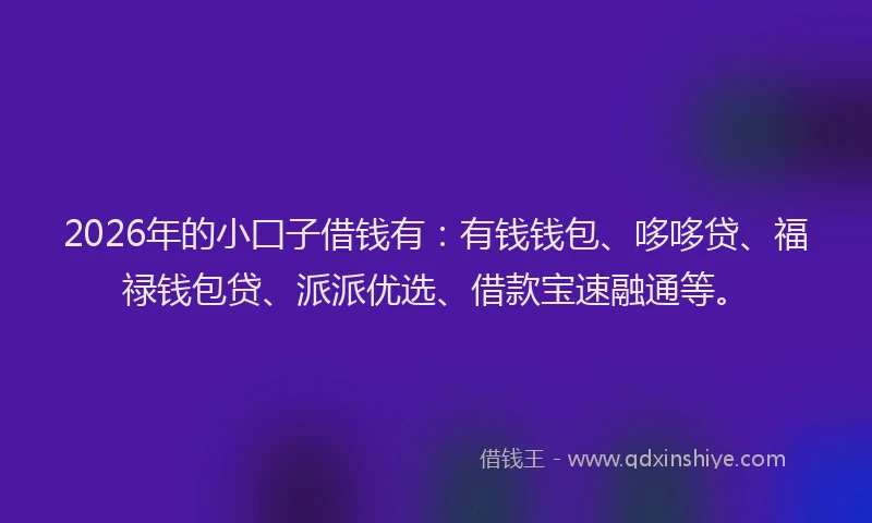 2026年的小囗子借钱有：有钱钱包、哆哆贷、福禄钱包贷、派派优选、借款宝速融通等。