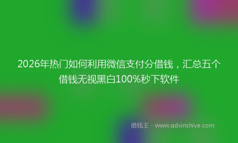 2026年热门如何利用微信支付分借钱，汇总五个借钱无视黑白100%秒下软件