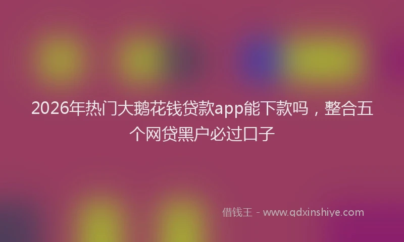 2026年热门大鹅花钱贷款app能下款吗，整合五个网贷黑户必过口子