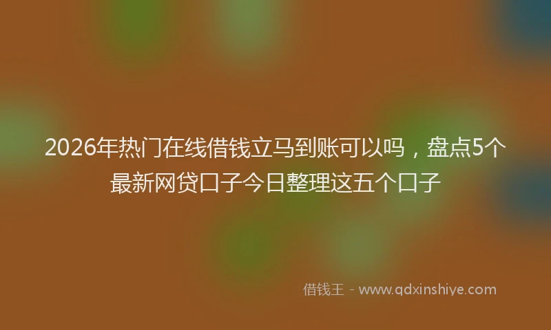 2026年热门在线借钱立马到账可以吗，盘点5个最新网贷口子今日整理这五个口子