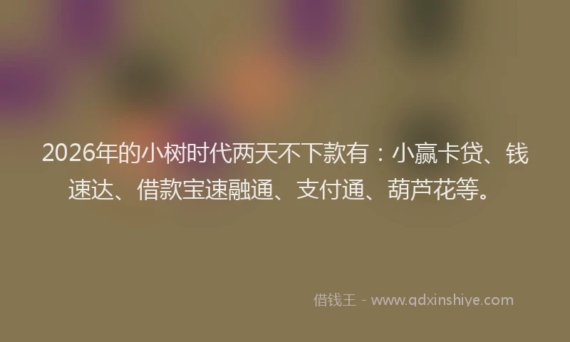 2026年的小树时代两天不下款有：小赢卡贷、钱速达、借款宝速融通、支付通、葫芦花等。