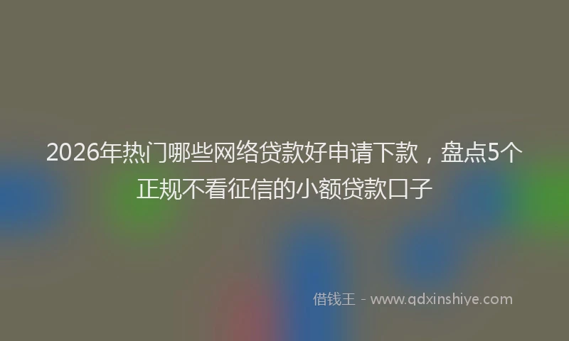 2026年热门哪些网络贷款好申请下款，盘点5个正规不看征信的小额贷款口子