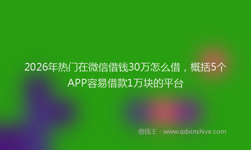 2026年热门在微信借钱30万怎么借，概括5个APP容易借款1万块的平台