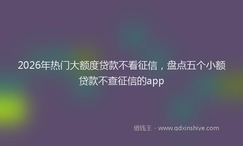 2026年热门大额度贷款不看征信，盘点五个小额贷款不查征信的app