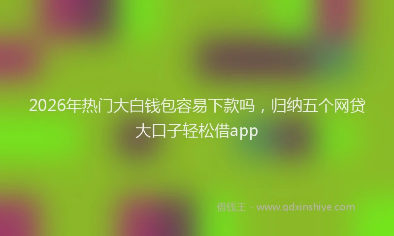 2026年热门大白钱包容易下款吗，归纳五个网贷大口子轻松借app