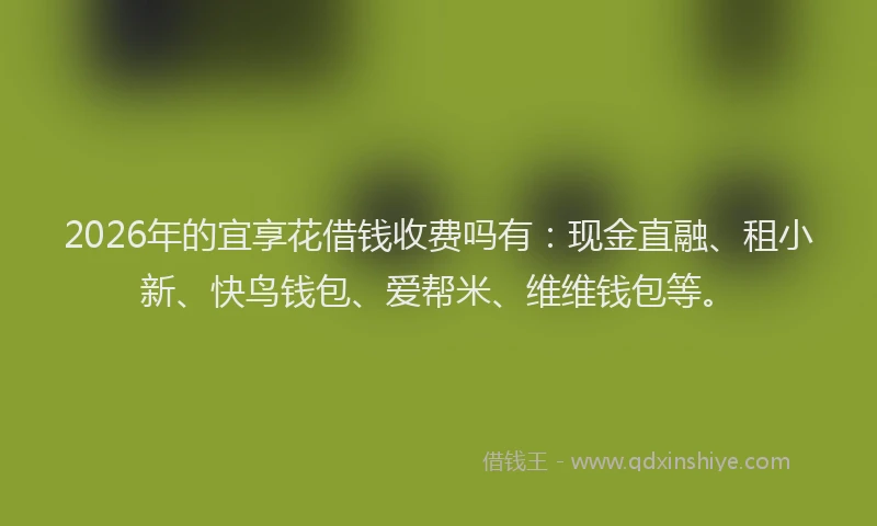 2026年的宜享花借钱收费吗有：现金直融、租小新、快鸟钱包、爱帮米、维维钱包等。