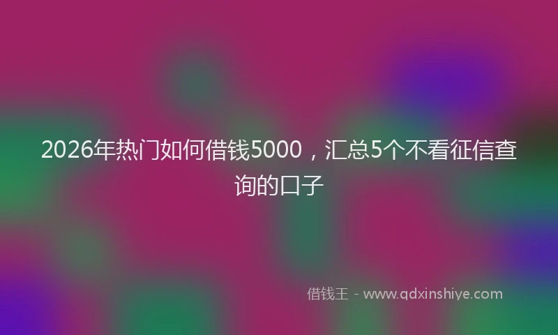 2026年热门如何借钱5000，汇总5个不看征信查询的口子