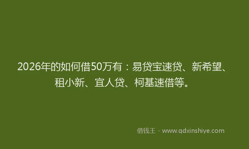 2026年的如何借50万有：易贷宝速贷、新希望、租小新、宜人贷、柯基速借等。