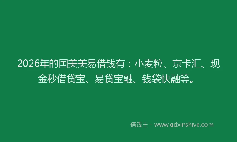 2026年的国美美易借钱有：小麦粒、京卡汇、现金秒借贷宝、易贷宝融、钱袋快融等。