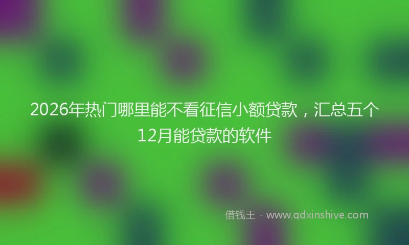2026年热门哪里能不看征信小额贷款，汇总五个12月能贷款的软件
