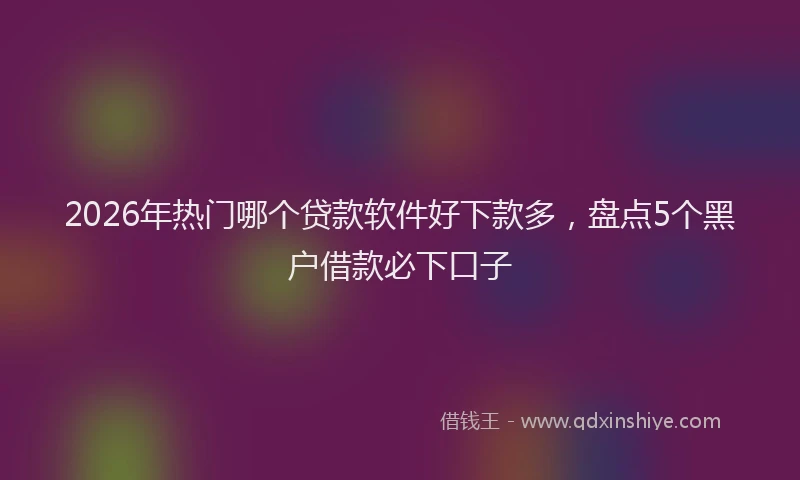 2026年热门哪个贷款软件好下款多，盘点5个黑户借款必下口子