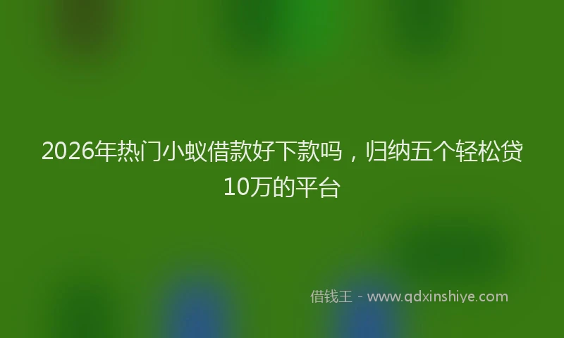 2026年热门小蚁借款好下款吗，归纳五个轻松贷10万的平台