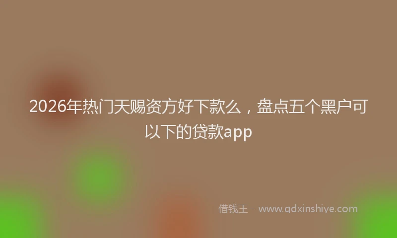 2026年热门天赐资方好下款么，盘点五个黑户可以下的贷款app