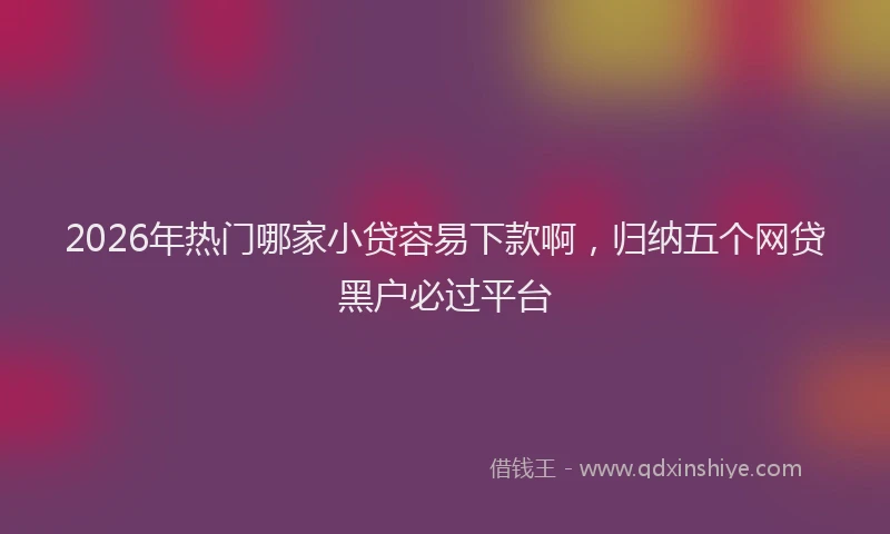 2026年热门哪家小贷容易下款啊，归纳五个网贷黑户必过平台