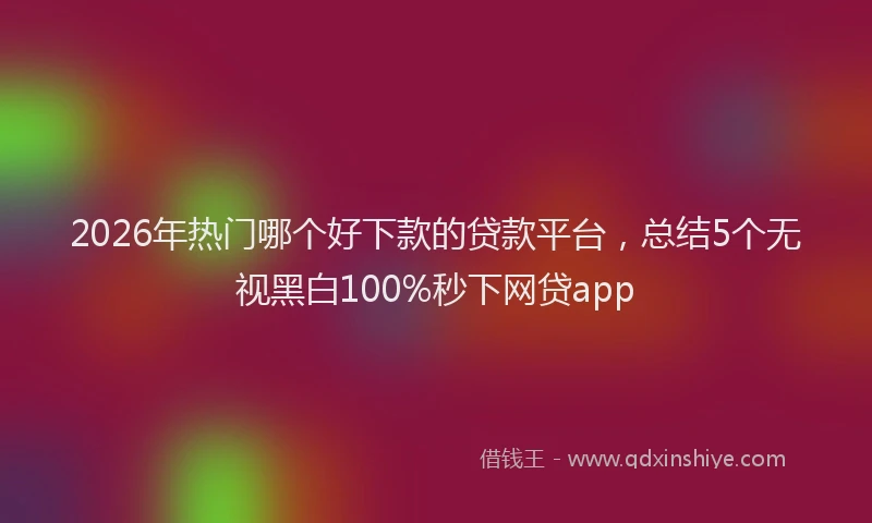 2026年热门哪个好下款的贷款平台，总结5个无视黑白100%秒下网贷app
