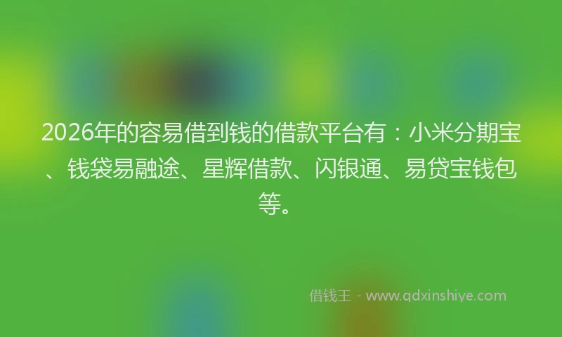2026年的容易借到钱的借款平台有：小米分期宝、钱袋易融途、星辉借款、闪银通、易贷宝钱包等。