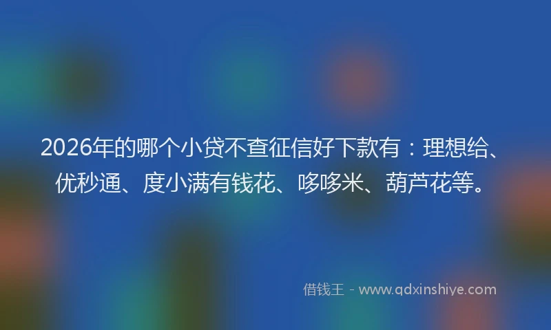 2026年的哪个小贷不查征信好下款有：理想给、优秒通、度小满有钱花、哆哆米、葫芦花等。