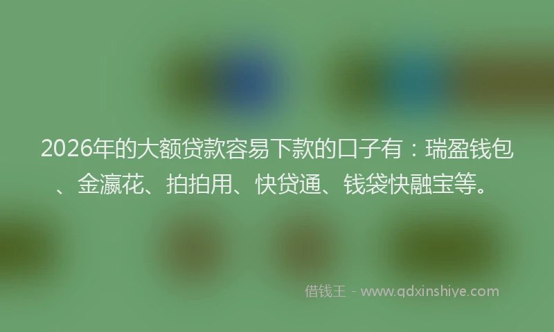 2026年的大额贷款容易下款的口子有：瑞盈钱包、金瀛花、拍拍用、快贷通、钱袋快融宝等。