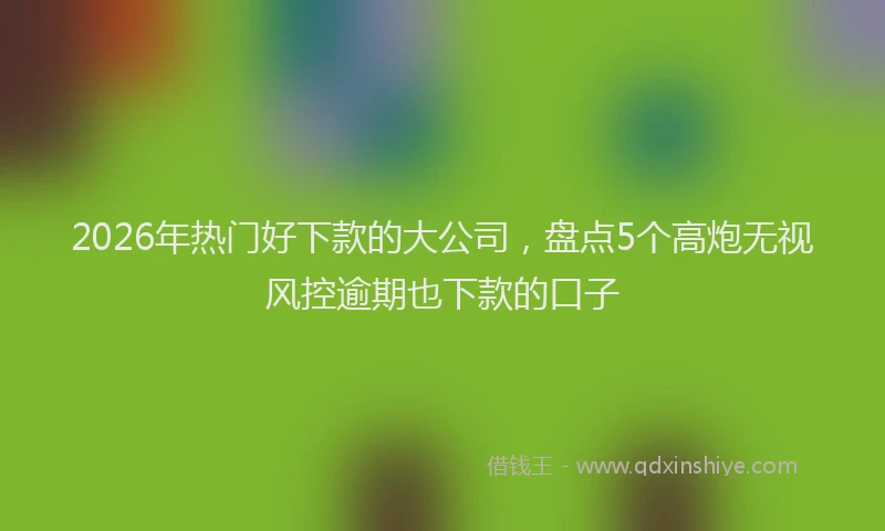 2026年热门好下款的大公司，盘点5个高炮无视风控逾期也下款的口子