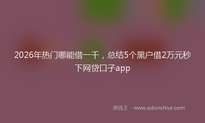 2026年热门哪能借一千，总结5个黑户借2万元秒下网贷口子app