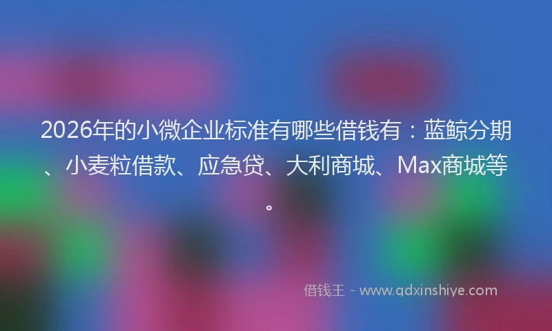 2026年的小微企业标准有哪些借钱有：蓝鲸分期、小麦粒借款、应急贷、大利商城、Max商城等。