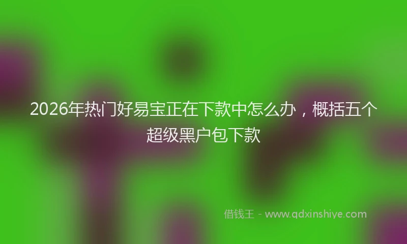 2026年热门好易宝正在下款中怎么办，概括五个超级黑户包下款