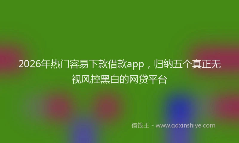 2026年热门容易下款借款app，归纳五个真正无视风控黑白的网贷平台