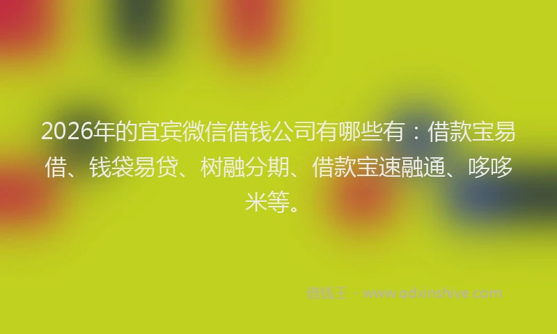2026年的宜宾微信借钱公司有哪些有：借款宝易借、钱袋易贷、树融分期、借款宝速融通、哆哆米等。