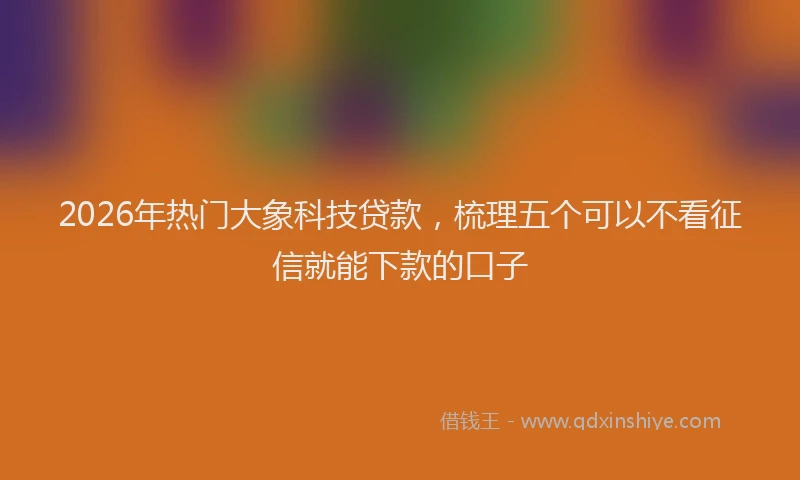 2026年热门大象科技贷款，梳理五个可以不看征信就能下款的口子