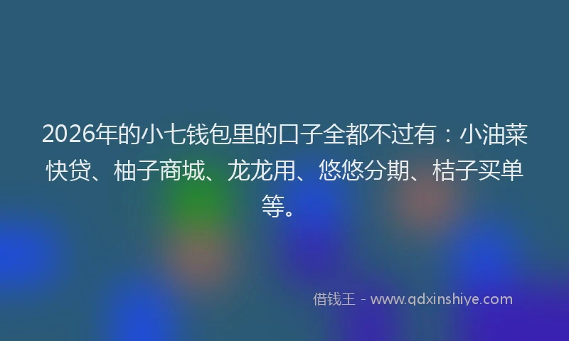 2026年的小七钱包里的口子全都不过有:小油菜快贷、柚子商城、龙龙用、悠悠分期、桔子买单等。