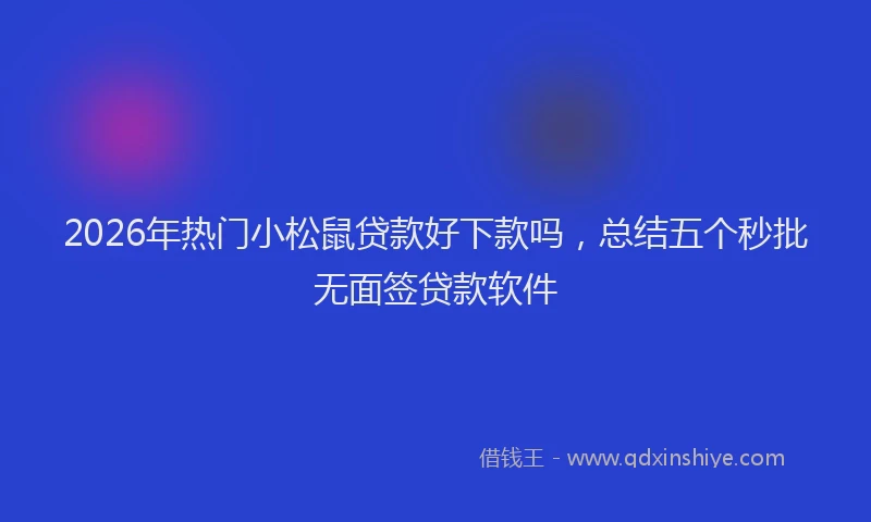 2026年热门小松鼠贷款好下款吗，总结五个秒批无面签贷款软件