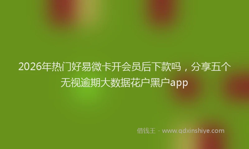 2026年热门好易微卡开会员后下款吗，分享五个无视逾期大数据花户黑户app