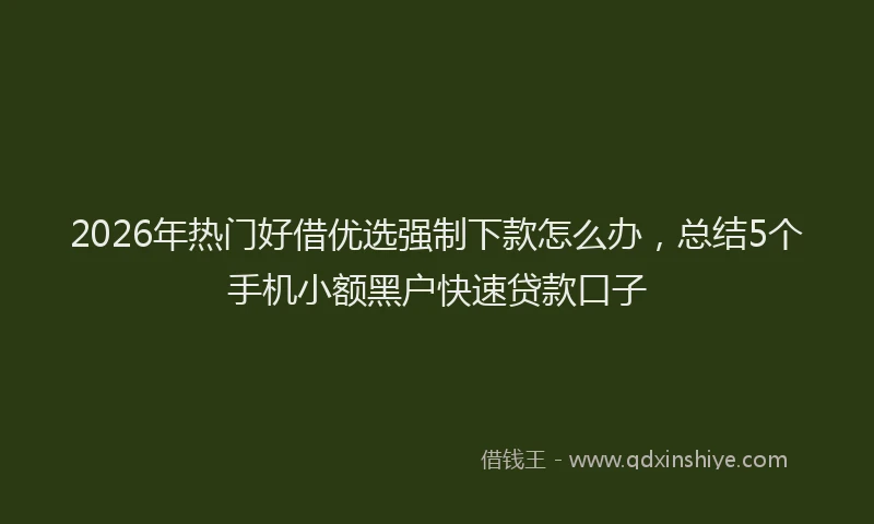 2026年热门好借优选强制下款怎么办，总结5个手机小额黑户快速贷款口子