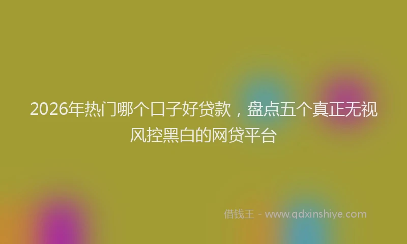 2026年热门哪个口子好贷款，盘点五个真正无视风控黑白的网贷平台