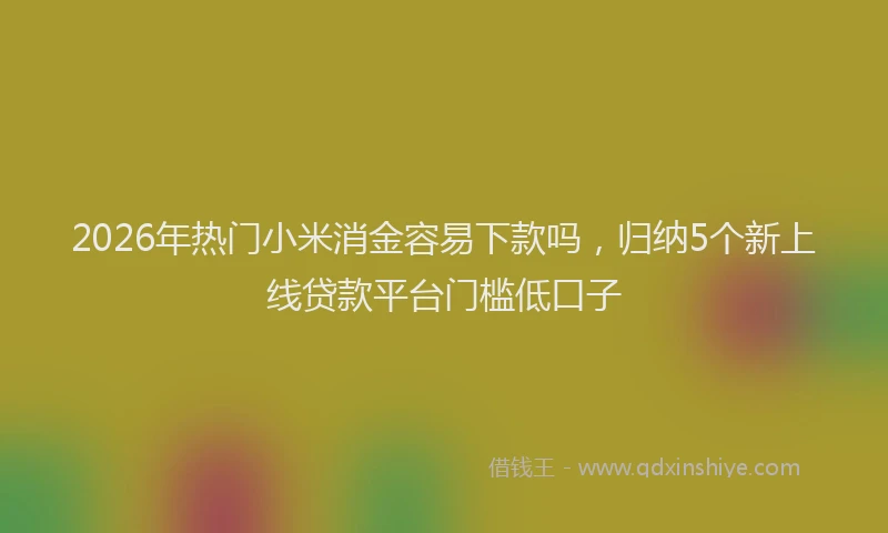 2026年热门小米消金容易下款吗，归纳5个新上线贷款平台门槛低口子
