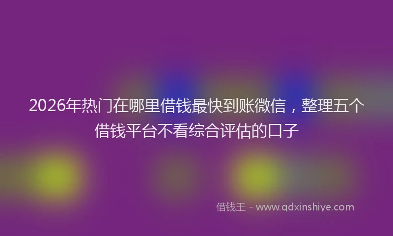 2026年热门在哪里借钱最快到账微信，整理五个借钱平台不看综合评估的口子