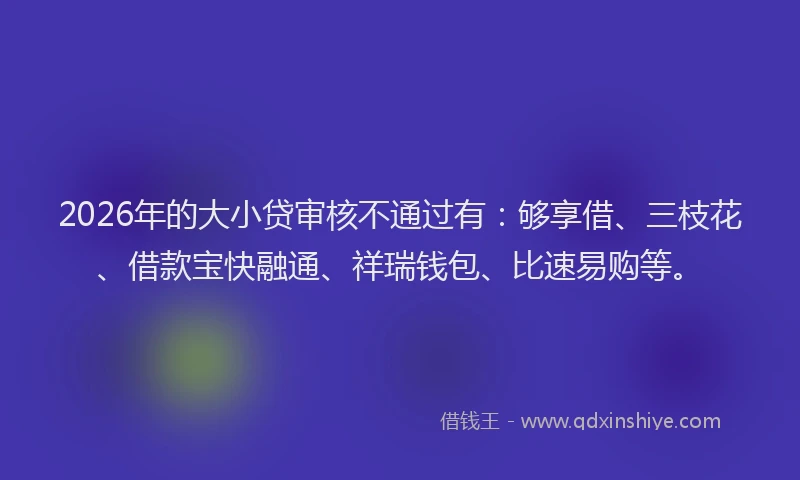 2026年的大小贷审核不通过有：够享借、三枝花、借款宝快融通、祥瑞钱包、比速易购等。