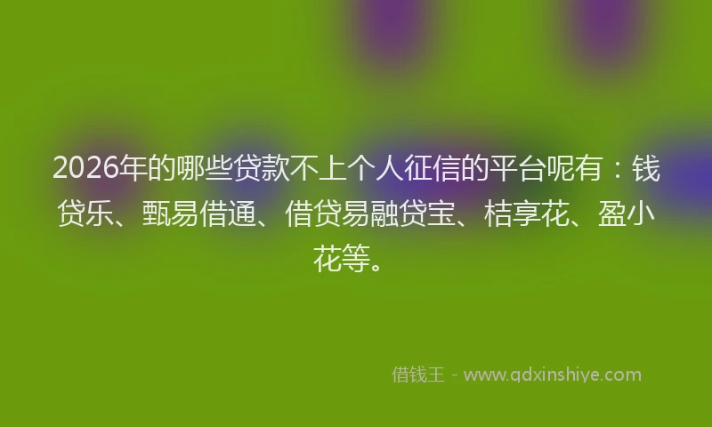 2026年的哪些贷款不上个人征信的平台呢有：钱贷乐、甄易借通、借贷易融贷宝、桔享花、盈小花等。