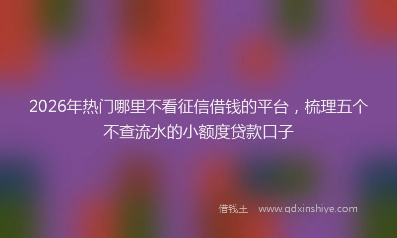 2026年热门哪里不看征信借钱的平台，梳理五个不查流水的小额度贷款口子