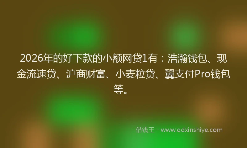 2026年的好下款的小额网贷1有：浩瀚钱包、现金流速贷、沪商财富、小麦粒贷、翼支付Pro钱包等。