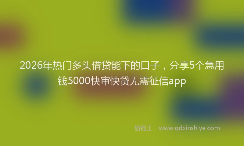 2026年热门多头借贷能下的口子，分享5个急用钱5000快审快贷无需征信app
