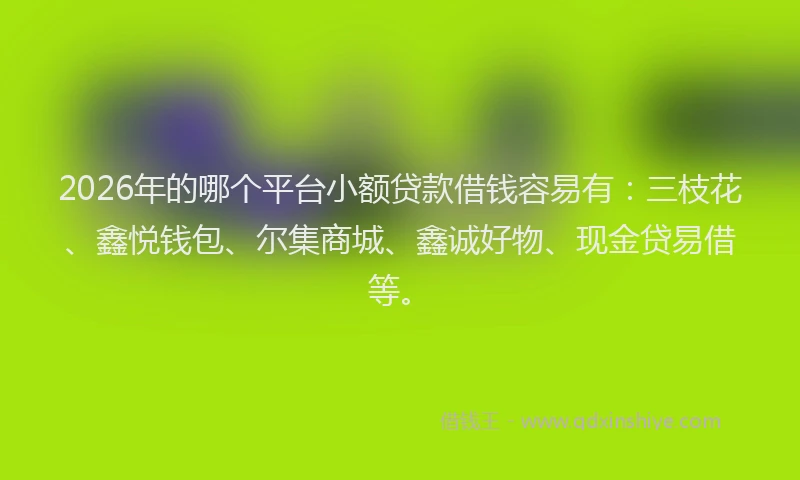 2026年的哪个平台小额贷款借钱容易有：三枝花、鑫悦钱包、尔集商城、鑫诚好物、现金贷易借等。