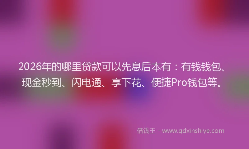 2026年的哪里贷款可以先息后本有：有钱钱包、现金秒到、闪电通、享下花、便捷Pro钱包等。
