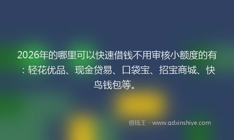 2026年的哪里可以快速借钱不用审核小额度的有：轻花优品、现金贷易、口袋宝、招宝商城、快鸟钱包等。