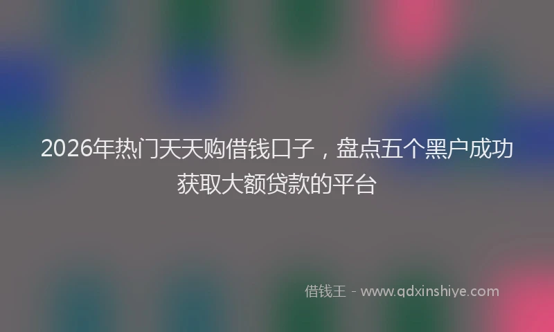 2026年热门天天购借钱口子，盘点五个黑户成功获取大额贷款的平台