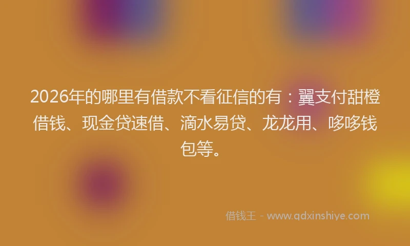 2026年的哪里有借款不看征信的有：翼支付甜橙借钱、现金贷速借、滴水易贷、龙龙用、哆哆钱包等。